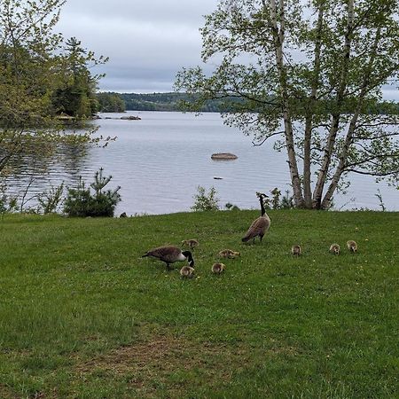 Alamoosook Lakeside Inn Orland المظهر الخارجي الصورة